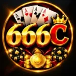 666C