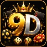 9D